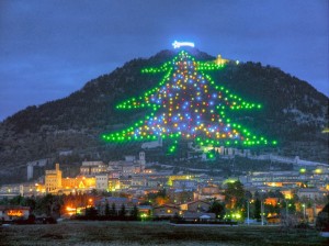 largest-christmas-tree